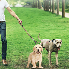 Load image into Gallery viewer, HiFuzzyPet Double Dog Leash With Comfortable Padded Handles