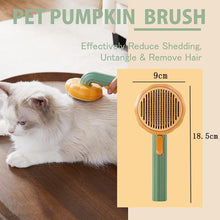 Load image into Gallery viewer, HiFuzzyPet Cute Pumpkin Shape Pet Self-Cleaning Brush