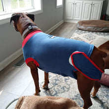 Load image into Gallery viewer, Recovery Suit for Dogs Cats After Surgery