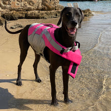 Load image into Gallery viewer, HiFuzzyPet Bright Color Dog Life Jacket Pet Floatation Vest