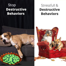 Load image into Gallery viewer, HiFuzzyPet Adjustable Dog Snuffle Mat, Pet Nose Training Toy