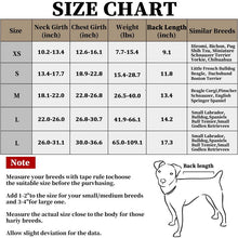 Load image into Gallery viewer, HiFuzzyPet Dog Anxiety Relief Vest for Thunderstorm & Fireworks