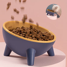 Load image into Gallery viewer, HiFuzzyPet 15° Tilted Elevated Cat Bowls for Anti-Vomitng