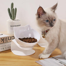 Load image into Gallery viewer, HiFuzzyPet Silicone Elevated Cat Bowls with Stand