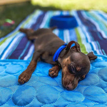Load image into Gallery viewer, HiFuzzyPet Self Cooling Ice Silk Dog Cooling Mat for Summer