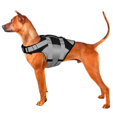 Load image into Gallery viewer, HiFuzzyPet Bright Color Dog Life Jacket Pet Floatation Vest
