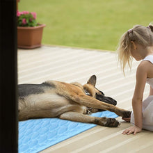Load image into Gallery viewer, HiFuzzyPet Self Cooling Ice Silk Dog Cooling Mat for Summer
