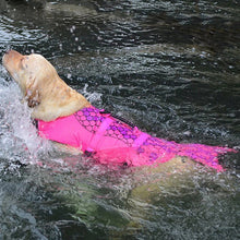 Load image into Gallery viewer, HiFuzzyPet Shark Fin Dog Life Jacket for Swimming