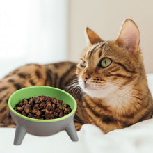 Load image into Gallery viewer, HiFuzzyPet 15° Tilted Elevated Cat Bowls for Anti-Vomitng