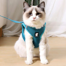 Load image into Gallery viewer, HiFuzzyPet Air Mesh Cat Harness and Leash Set