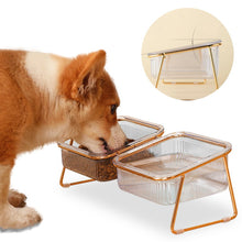 Load image into Gallery viewer, HiFuzzyPet Non-slip Cat Food and Water Bowls, Raised Pet Bowl