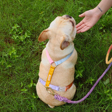 Load image into Gallery viewer, HiFuzzyPet Rainbow Easy Walk Harness for Runs, Walks, Hikes