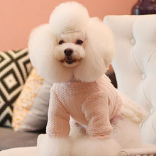 Load image into Gallery viewer, HiFuzzyPet Fashion Cute Pet Dress for Dogs & Cats