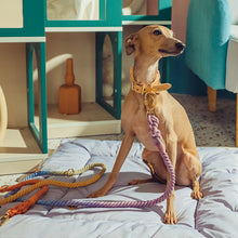 Load image into Gallery viewer, HiFuzzyPet Rainbow Easy Walk Harness for Runs, Walks, Hikes