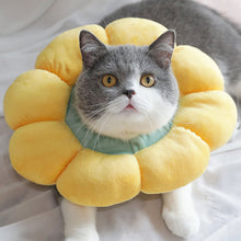 Load image into Gallery viewer, HiFuzzyPet Cute Flower Shape Cat Cone Collar, Waterproof