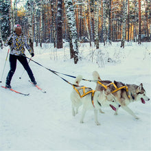 Load image into Gallery viewer, dog sledding harness for pulling activities