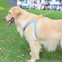 Load image into Gallery viewer, HiFuzzyPet Adjustable Nylon No Pull Dog Harness & Leash