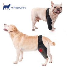 Load image into Gallery viewer, HiFuzzyPet Neoprene Rear Dog Knee Brace for Torn ACL