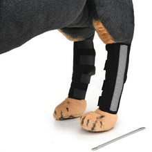 Load image into Gallery viewer, HiFuzzyPet Dog Knee Brace with Safety Reflective Straps