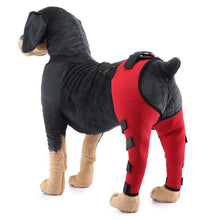Load image into Gallery viewer, HiFuzzyPet Adjustable Rear Dog Leg Brace