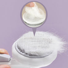 Load image into Gallery viewer, HiFuzzyPet Cute Pumpkin Shape Pet Self-Cleaning Brush