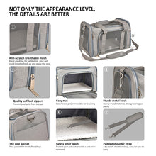 Load image into Gallery viewer, HiFuzzyPet Foldable Pet Outing Carrying Bag