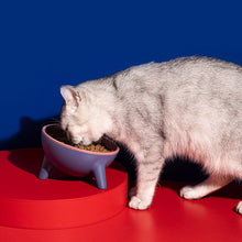 Load image into Gallery viewer, HiFuzzyPet 15° Tilted Elevated Cat Bowls for Anti-Vomitng