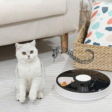 Load image into Gallery viewer, HiFuzzyPet Smart Automatic Dog Feeder with Timer