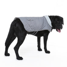 Load image into Gallery viewer, HiFuzzyPet Windproof Dog Jacket for Winter