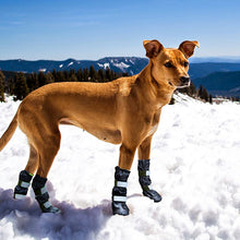 Load image into Gallery viewer, winter dog boots keep warm and comfy