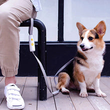 Load image into Gallery viewer, white hand free dog leash