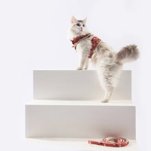 Load image into Gallery viewer, HiFuzzyPet Fashionable Cat Harness and Leash Set - Escape Proof Cat Dog Walking Harness