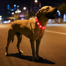 Load image into Gallery viewer, HiFuzzyPet Light Up Dog Collar for Night Walking