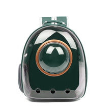 Load image into Gallery viewer, HiFuzzyPet Clear Cat Carrier Backpack with Window