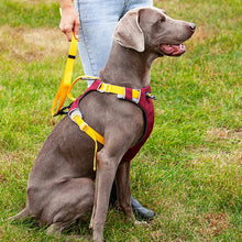 Load image into Gallery viewer, HiFuzzyPet Adjustable No Pull Dog Vest Harness