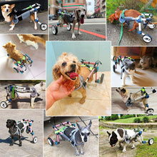 Load image into Gallery viewer, dog wheelchair for back legs display