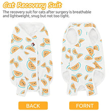 Load image into Gallery viewer, cat recovery suit display