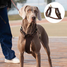 Load image into Gallery viewer, HiFuzzyPet Leather Dog Harness and Leash Set