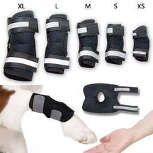 Load image into Gallery viewer, dog rear leg hock brace diaplay