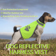 Load image into Gallery viewer, HiFuzzyPet Reflective Dog Safety Vest for Day or Night Outdoor Activity