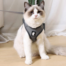 Load image into Gallery viewer, HiFuzzyPet Air Mesh Cat Harness and Leash Set