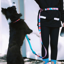 Load image into Gallery viewer, HiFuzzyPet Multifunctional 3 in 1 Hands Free Dog Leashes