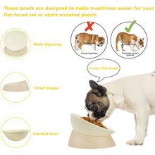 Load image into Gallery viewer, elevated cat bowl details