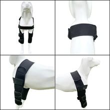 Load image into Gallery viewer, dog elbow pads display