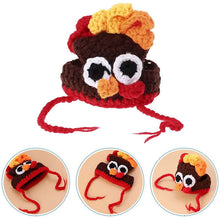 Load image into Gallery viewer, halloween dog turkey hat display