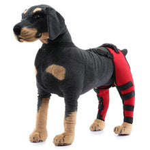 Load image into Gallery viewer, HiFuzzyPet Adjustable Rear Dog Leg Brace