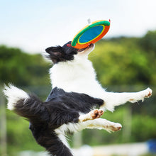 Load image into Gallery viewer, HiFuzzyPet Soft Dog Frisbee by Oxford Cloth