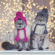 Load image into Gallery viewer, twill knit acrylic fabric dog cat hat