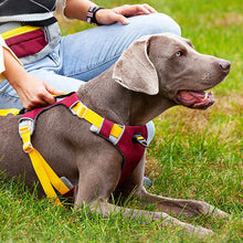 Load image into Gallery viewer, HiFuzzyPet Adjustable No Pull Dog Vest Harness