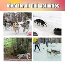 Load image into Gallery viewer, dog sledding harness is perfect for pulli activity